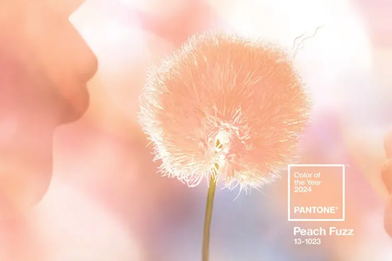 Pantone 2024年度颜色：新的一年，新的趋势