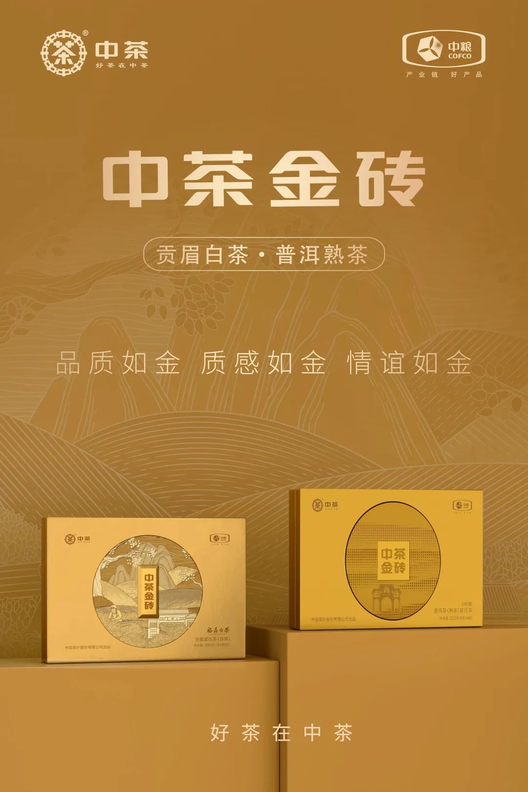 中茶金砖包装设计