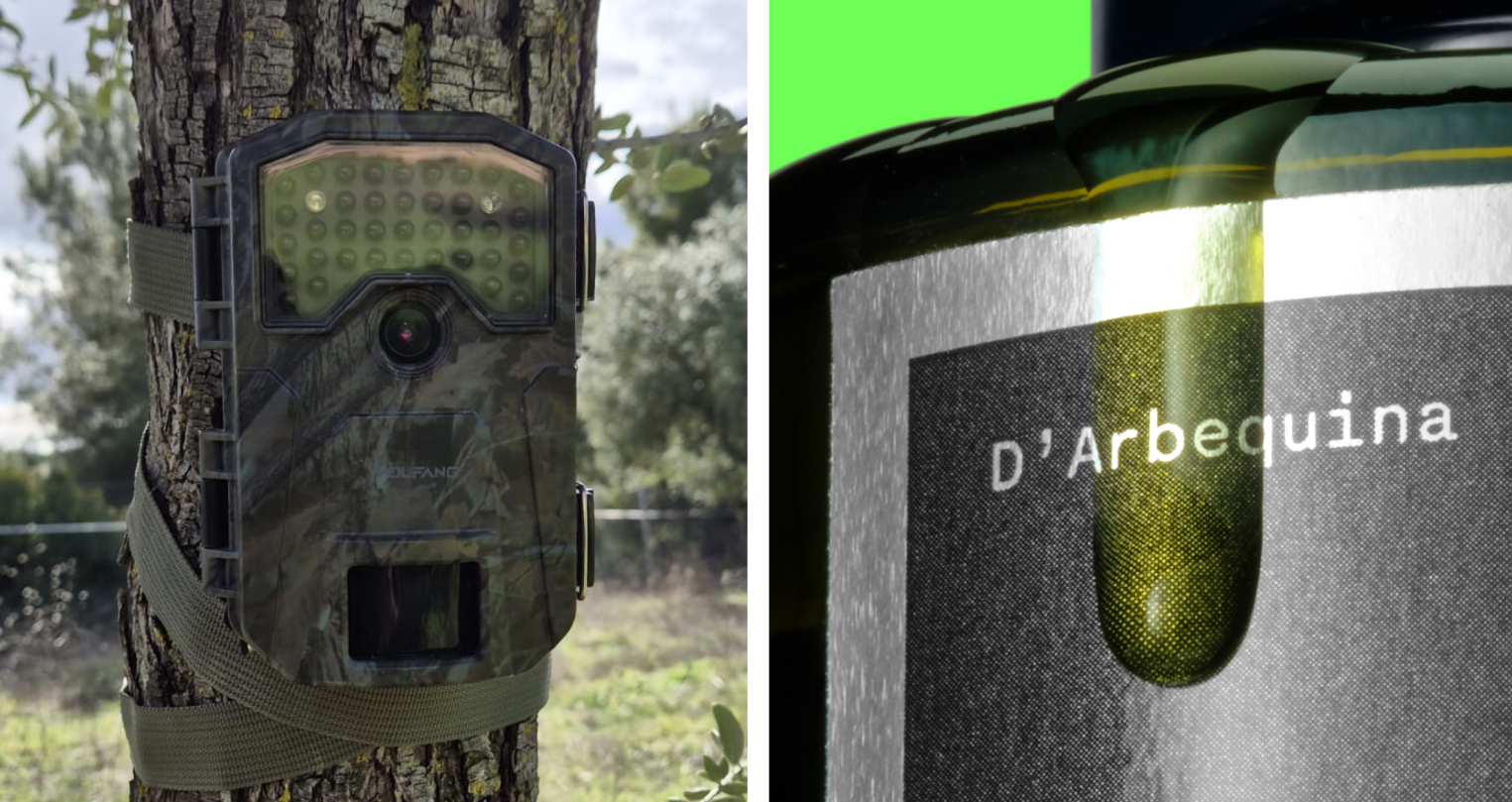 橄榄油包装设计创新风格