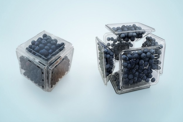 蓝莓包装设计创新
