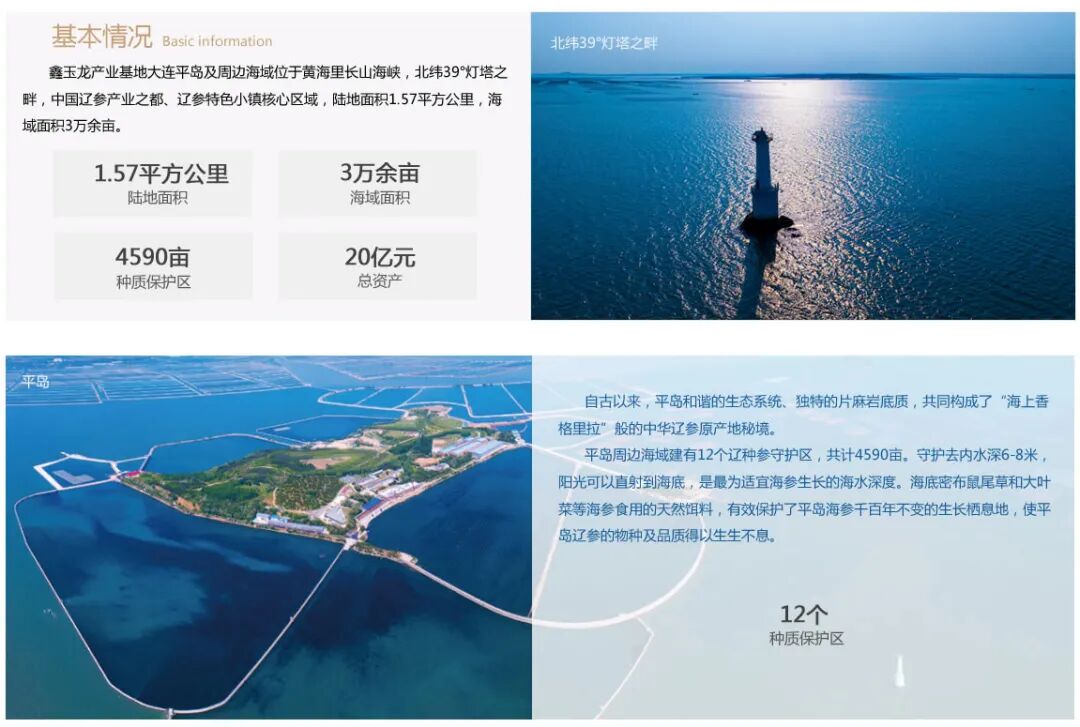 鑫玉龙产业基地（大连平岛）