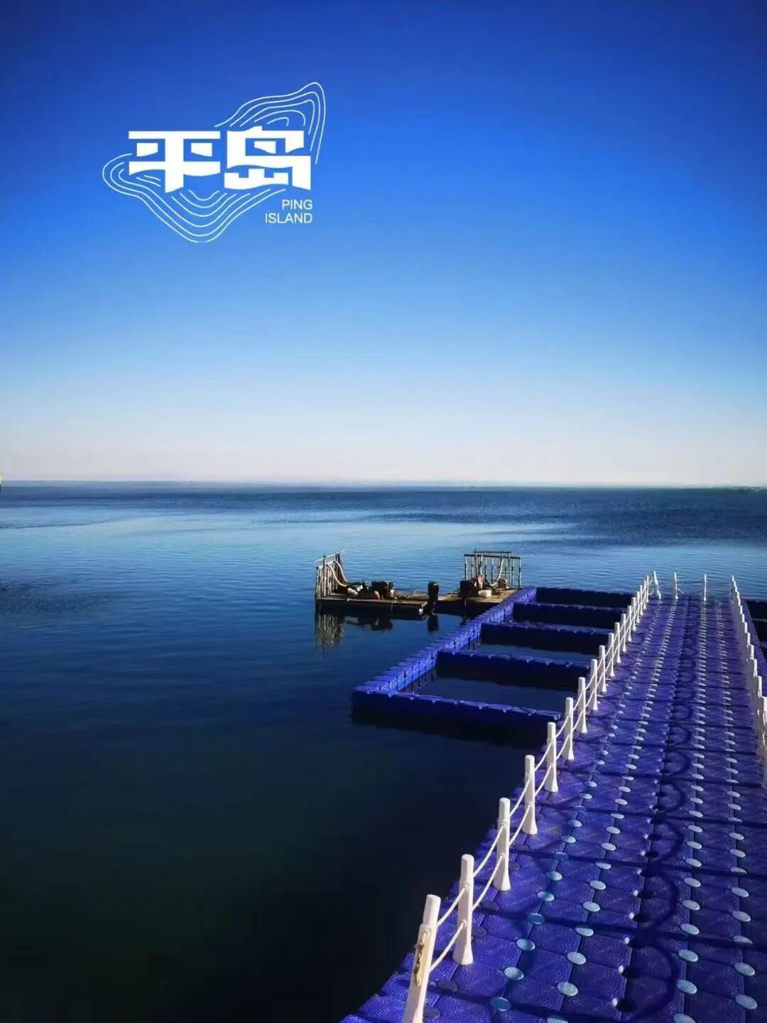 平岛海参品牌设计