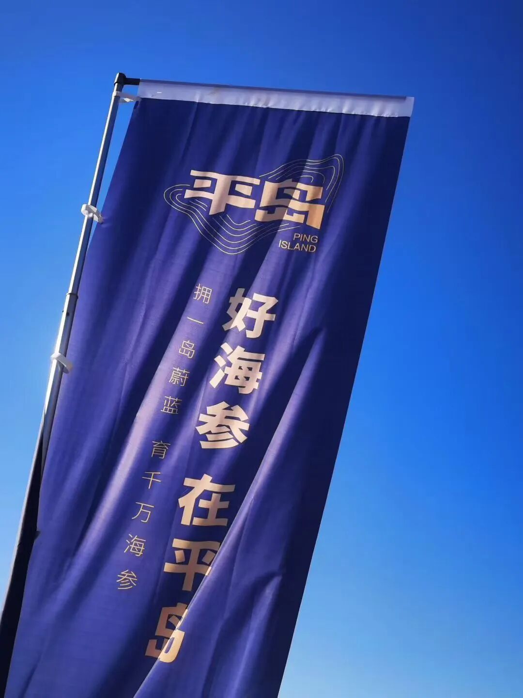 平岛海参包装设计，好海参在平岛