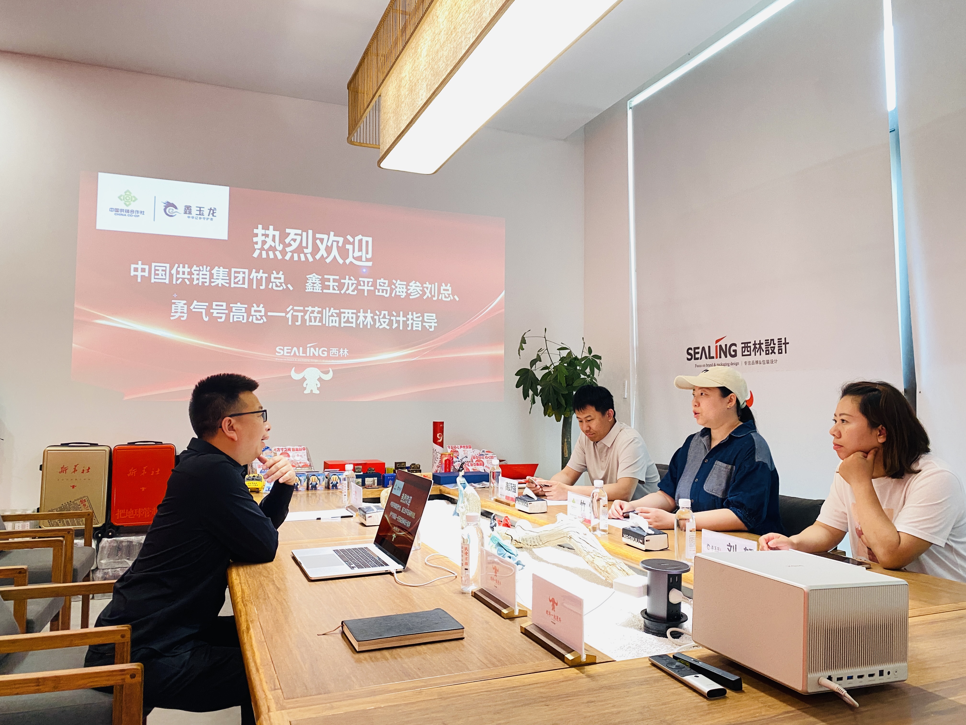 北京西林设计|中国供销集团座谈研讨会