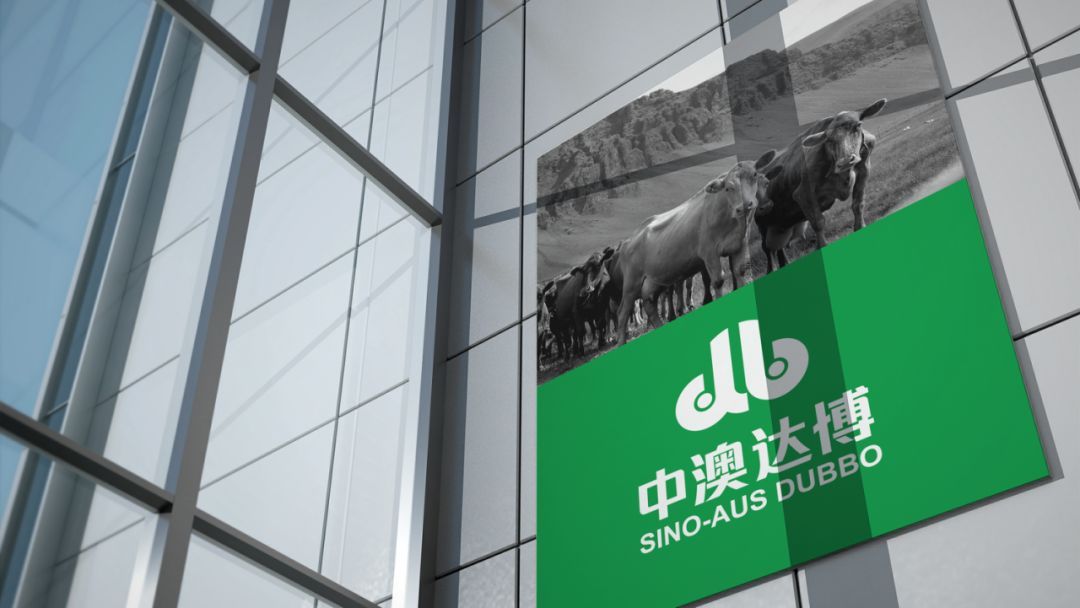 专业牛肉品牌设计公司