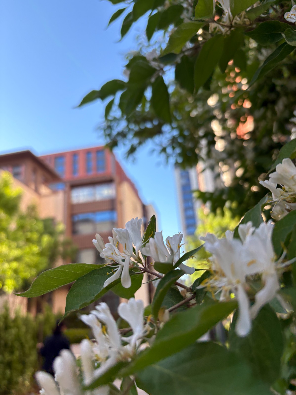 山西师范大学北京西林设计参观 山西师范大学北京西林设计参观