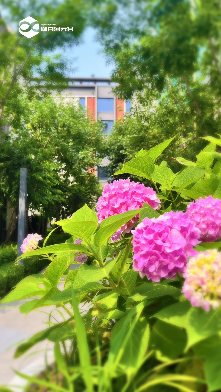 山西师范大学北京西林设计参观 山西师范大学北京西林设计参观